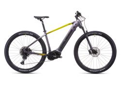 CRUSSIS e-Largo 9.11-(894 Wh) 29"